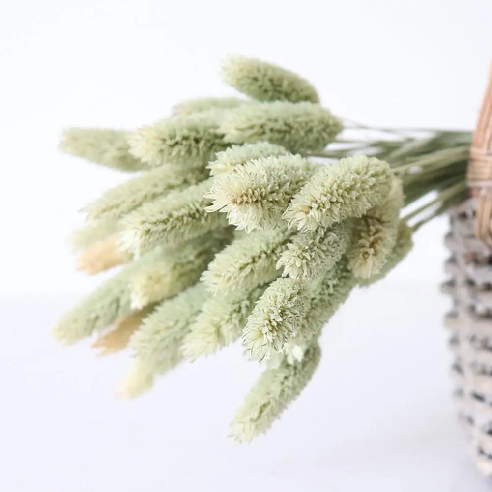 

60Pcs Jewel Grass Dried Flower Bouquet Light Color Bunch Wedding Christmas Flowers Pampas Home Wedding Grass Decoration Q2L8