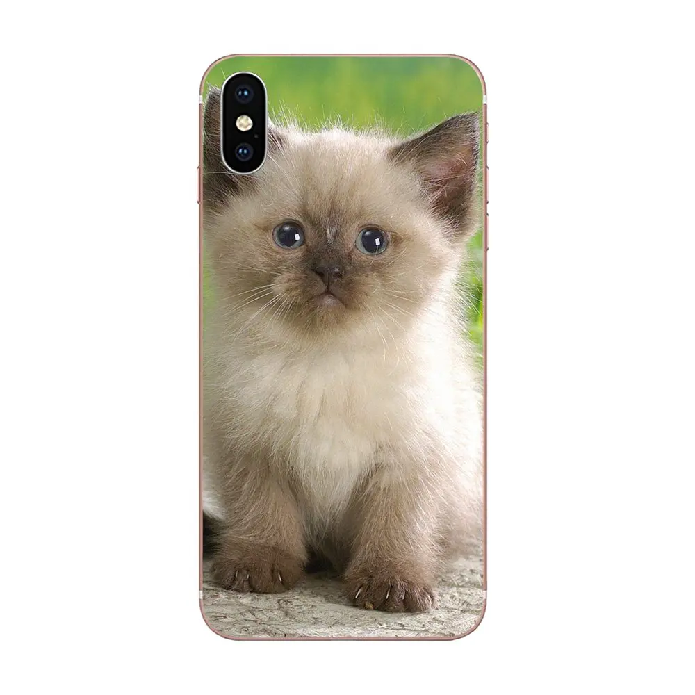 Силиконовые чехлы для Xiaomi Redmi Mi 4/7A/9T/K20/CC9/CC9e/Note 7/8/9/Y3/SE Pro Prime Go Play|Бамперы| |
