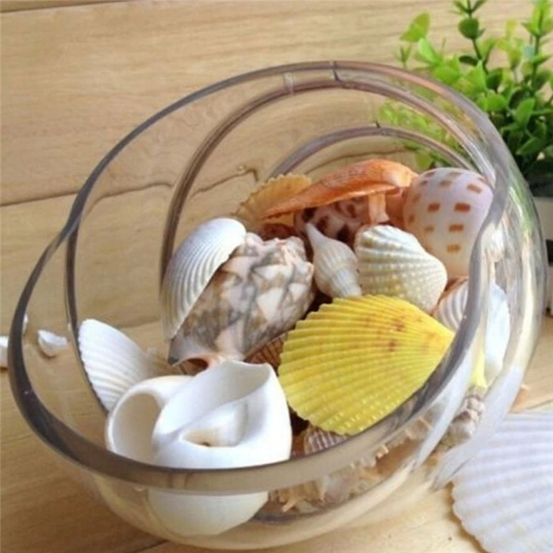 

100g Beach Mixed SeaShells Mix Sea Shells Shell Craft SeaShells Aquarium Decor