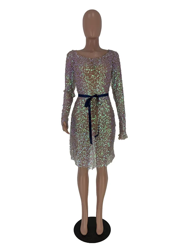 2019 Новинка сезон осень-зима женские платья длинный рукав Круглая горловина