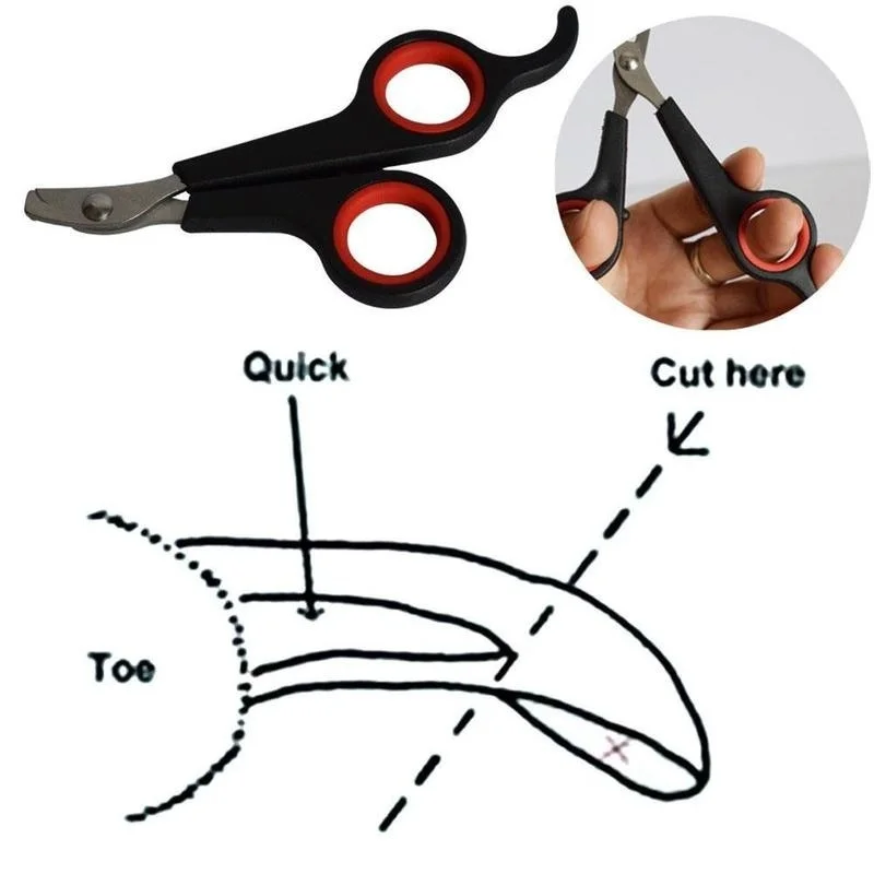 

Pet Nail Clippers Cutter Trimmer Scissors for Dogs Cats Birds Guinea Pig Animal Claws Paw Cutter Bird Parrot Shear Animal
