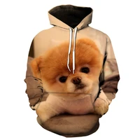 2021 hot sale sweatshirt men women 3d hoodies print chow chow dog animal pattern pullover unisex casual creative oversized tops