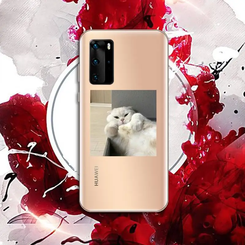 

cute cat Phone Case Transparent for Huawei P20 P30 P40 honor 8 10i P smart 2019 Samsung A71 A21S S10 20 plus