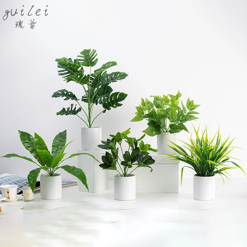 

Nordic simulation green plants small potted landscape office decoration living room turtle leaf ornaments