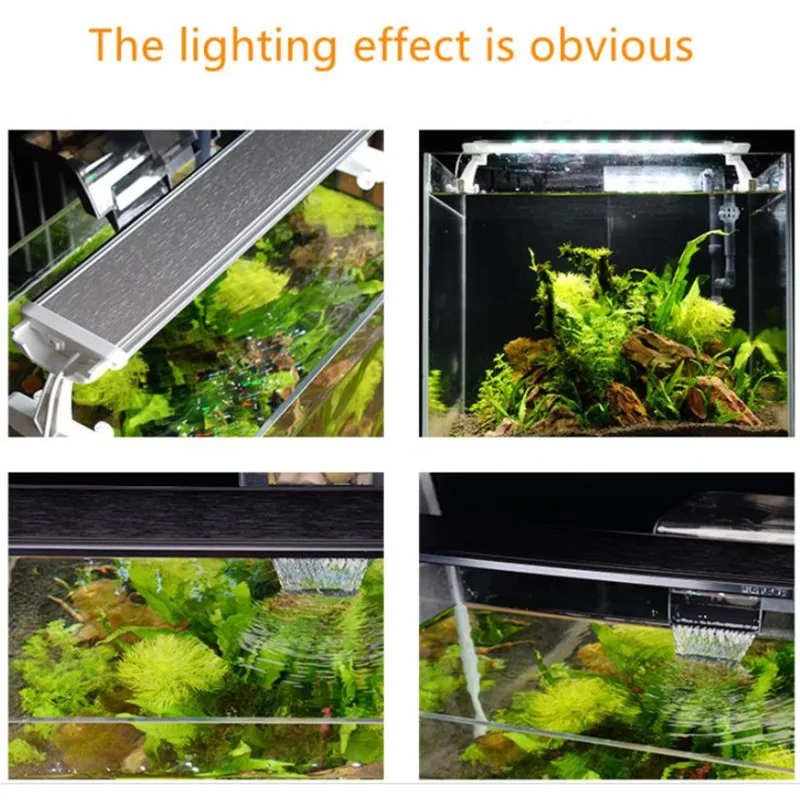 구매 풀 스펙트럼 회전식 저전력 소비 고휘도 LED 어항 램프 랙 잔디 탱크 램프 수족관 LED 램프 저렴한 풀 스펙트럼 회전식 저전력 소비 고휘도 LED 어항 램프 랙 잔디 탱크 램프 수족관 LED 램프