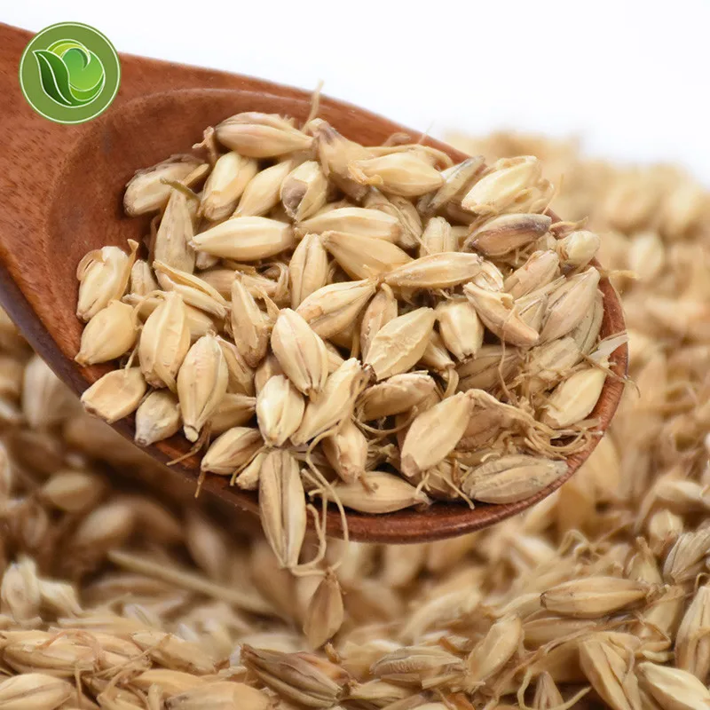 

Dry Herb of Raw Mai Ya / Barley Sprout, Malt, Fructus Germin