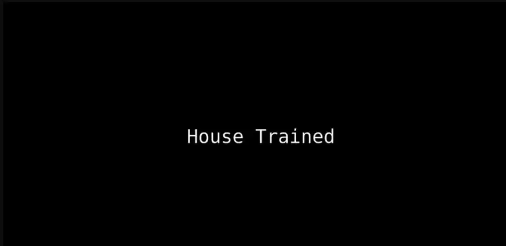 

2020 House Trained by Andrew Ffost - Magic Tricks