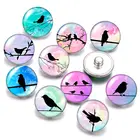 Красивые милые птицы Колибри 18 мм кнопки 10 шт. Смешанные Круглые фото стекло кабошон стиль для кнопки ювелирные изделия