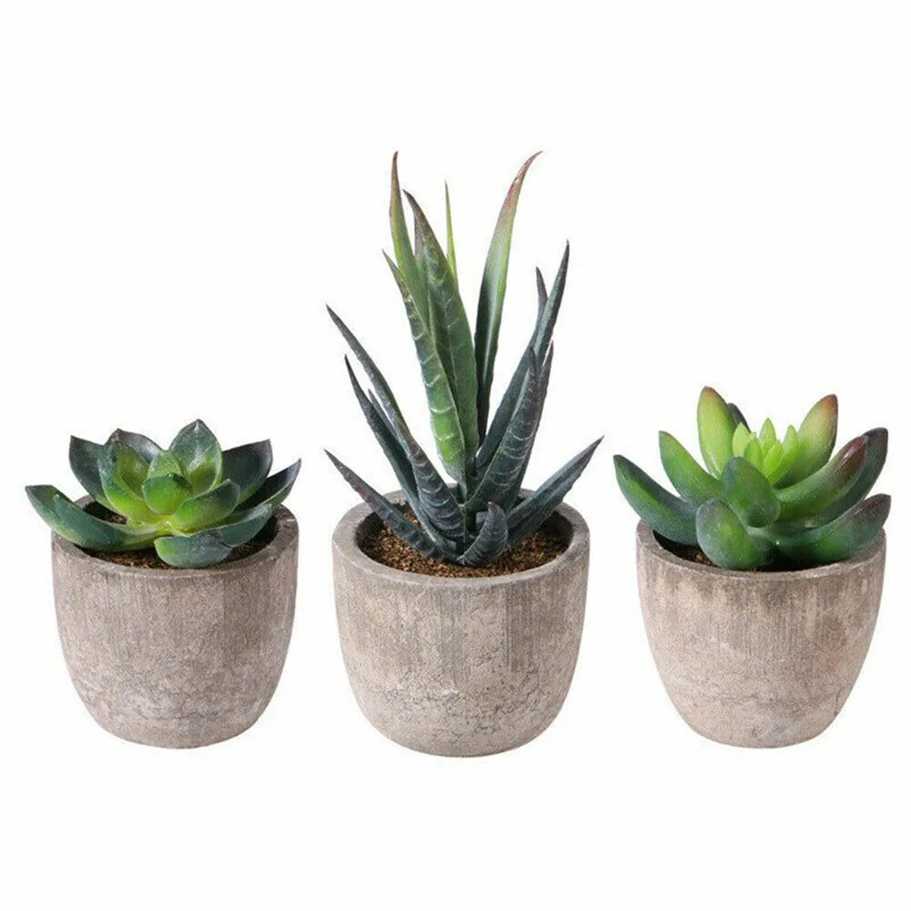 

Outdoor Artificial Bonsai Plant Potted Props Succulent 3Pcs Decoration