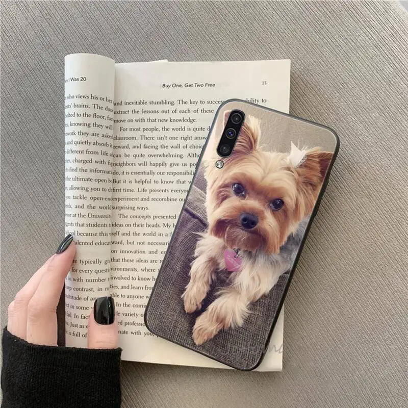 

Mini Yorkshire Terrier Dog Phone Cases For Samsung galaxy S note 7 8 9 10 20 fe edge A 6 10 20 30 50 51 70 lite plus Funda shell