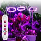 Фитолампа светодиодная полного спектра для выращивания растений, лампа для комнатных растений, саженцев, комнатных цветов, суккулетов, 5 в постоянного тока, USB