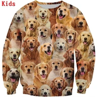 you will have a bunch of golden retrievers 3d printed hoodies boy girl long sleeve shirts kids funny animal sweatshirt