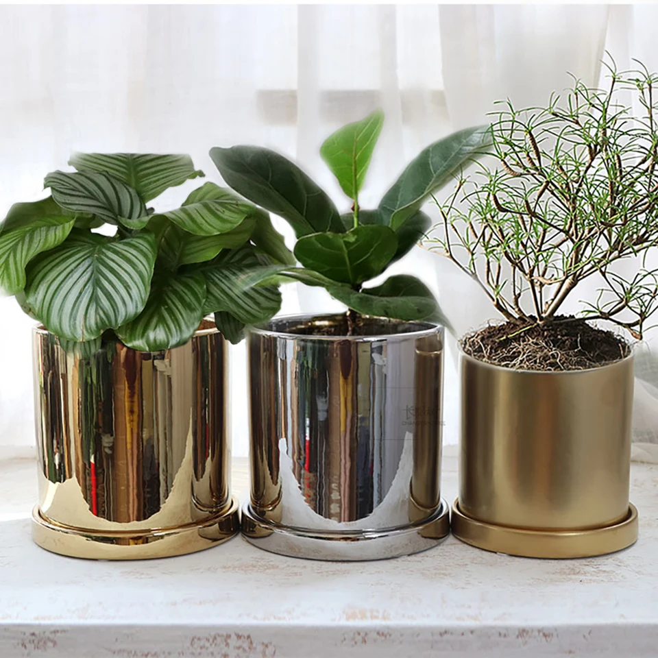 Скандинавский Креативный цветочный горшок с плакировкой Орхидея кактус