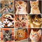 Evershine Алмазная вышивка кошки рукоделие картина стразы Алмазная мозаика  животные вышивка крестом наборы домашний декор