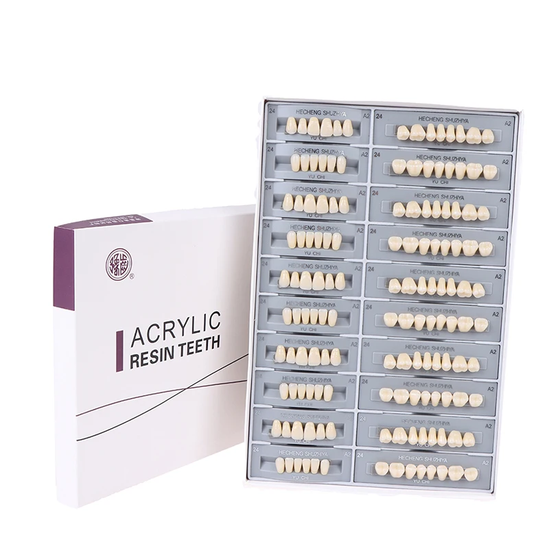 

5 Sets / Box Dental Synthetic Polymer Teeth Resin Denture Dental Teeth Model