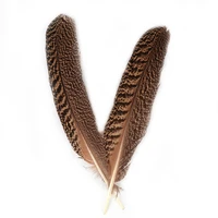 wholesale 10pcs natural real owl eagle feathers 25 40cm 10 16 pheasant feather for crafts jewelry making carnival plumes plumas