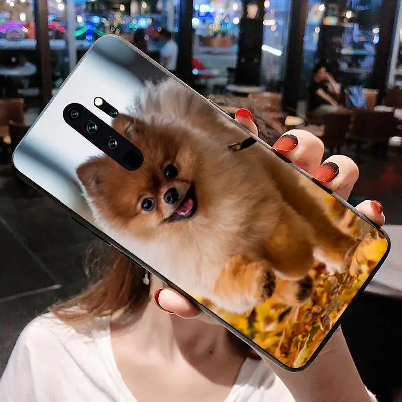 Милая Померанская собака модель Redmi 9A 8A 7 6 6A Note 10 9 8 8T Pro Max K20 K30 | Мобильные телефоны