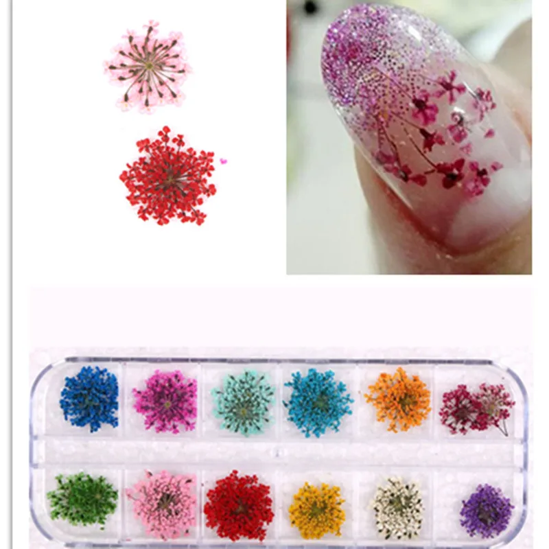 Натуральный высушенный цветок лепесток 3D украшение для ногтей на колесиках