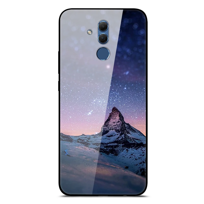 Mate 20 Lite чехол для huawei mate 20 Lite чехол s 6,3 силиконовый бампер из закаленного стекла+ Жесткая задняя крышка из поликарбоната чехол для телефона s Coque - Цвет: 47