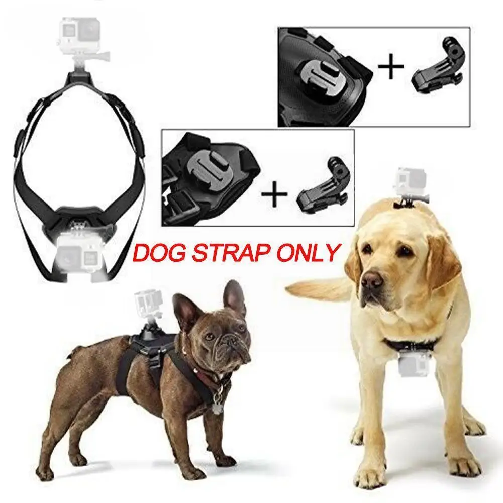 

Pet Fetch Dog Harness Chest Strap For Hero 9 7 4 5 Action 6 Session Pro 8 Go Camera Accessory C2q1