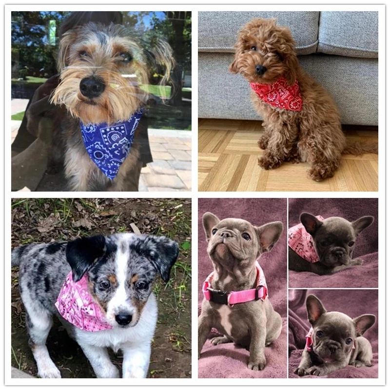 

Verstelbare Pet Hond Mitella Puppy Kat Sjaal Bandana Kraag Slabbetjes Kat Hals Decor Jurk Up Verjaardagsfeestje Wasbare S/M/L