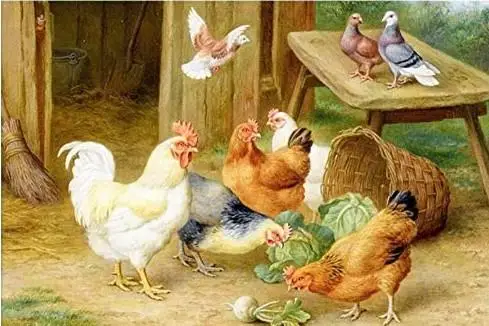 

Краски по номерам diy петух Predation масляная краска цвета по номерам цифровая семейная Отель декоративная краска