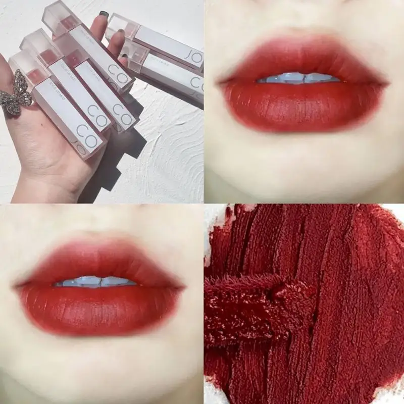 

2021 Fall Matte Finish Lip Gloss Mud Lipstick Intense Color Light Comfort Smooth Velvet Lip Tint Maquiagem Cosmetics TSLM1