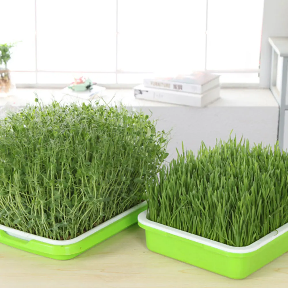 

Seed Sprouter Tray Bean Sprout Grower Germination Kit Soil-Free Seed Tray Portable Moisture Proof Removable Multifunctional