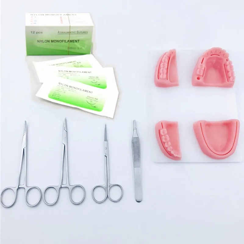 Стоматологическое моделирование, оральный шов, модель с иглой, резиновый шов, обучающее оборудование, тренировка