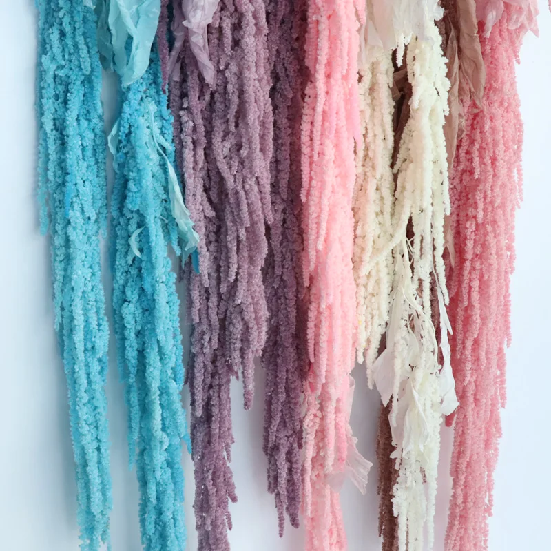 Розовые/белые вечные Amaranthus Red Millet сухие натуральные свежие цветы букет длинные