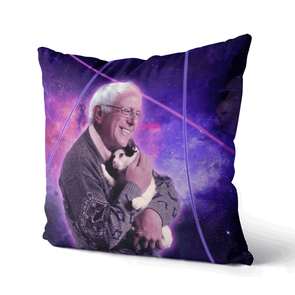 

Bernie Sanders cat Cover Printing Throw Pillow Case Cushion Cover Home Decoration Pillowcase Personalized gift