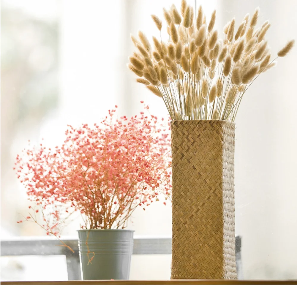 50pcs dried natural flower bouquets raw color Lagurus ovatus bouquets&ampUraria picta&ampraw rabbit tail grass bunches | Дом и сад