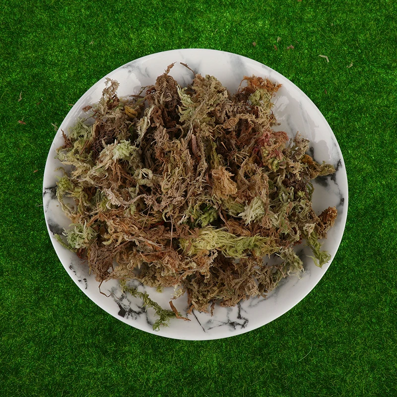 

Увлажняющее питательное органическое удобрение Sphagnum, 6 л, защищает корни растений