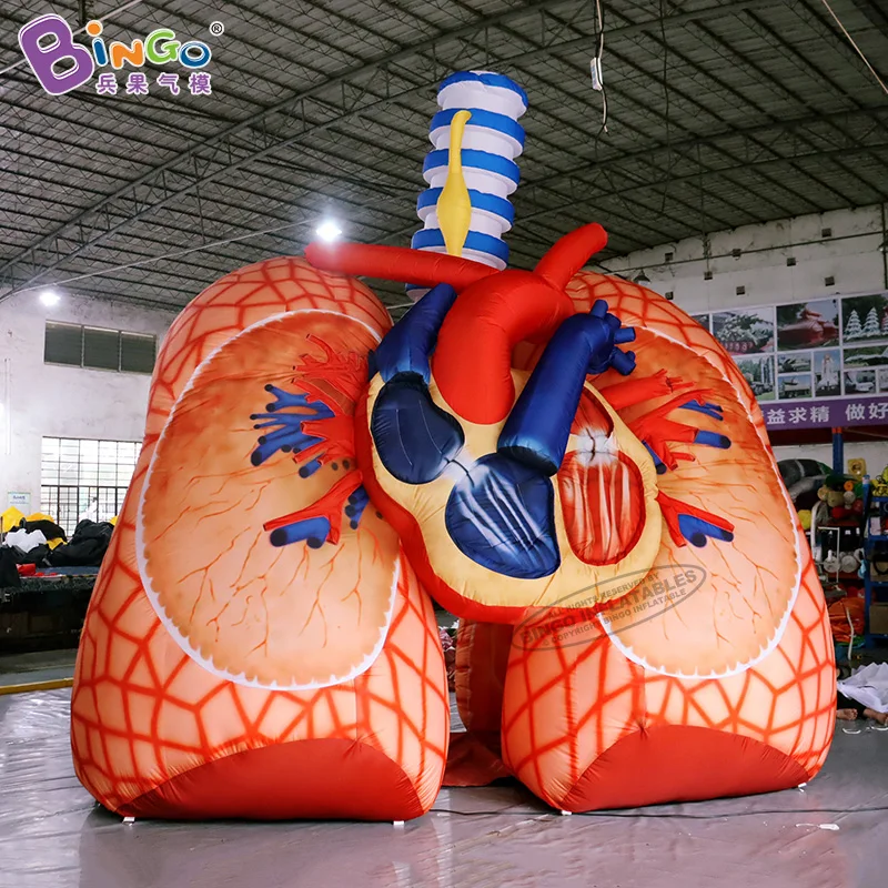 

Custom Built 4.5x3.5x4.5 Meters Large inflatable Lung Tunnel for Education Toys BG-H0002-2