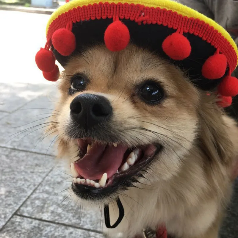 

Mini Sombrero Funny Pet Hat Adjustable Mini Mexican Style Straw Hat For Dog Cat Party Supplies For Dog Costume