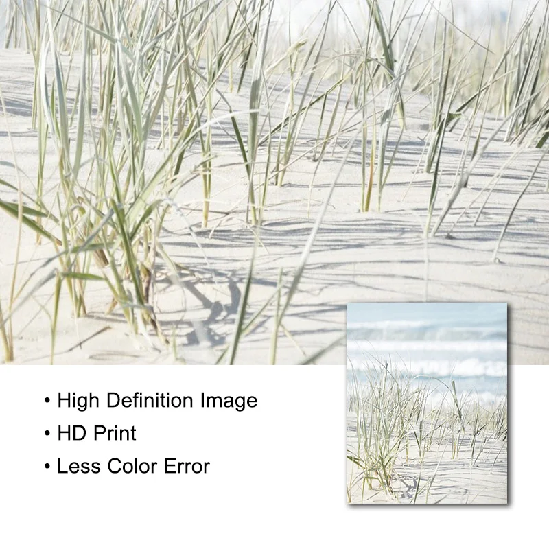 Настенная картина Pastel в виде раковины песчаной фотообои и фотографий для