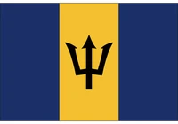 election 90x150cm barbados national flag 3x5ft flags with brass metal holes polyester