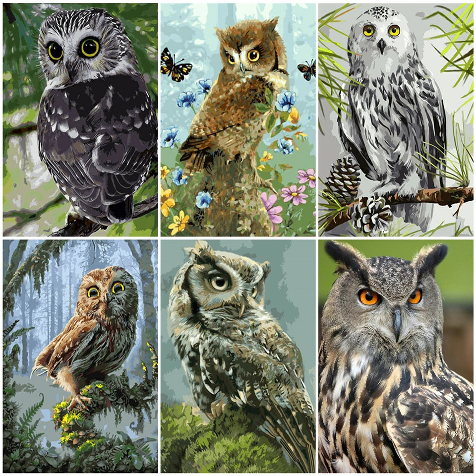 

AZQSD Paint By Number Canvas Painting Kits Owl DIY Unframe Acrylic Paint Adult Coloring By Numbers Animal Handpainted Gift