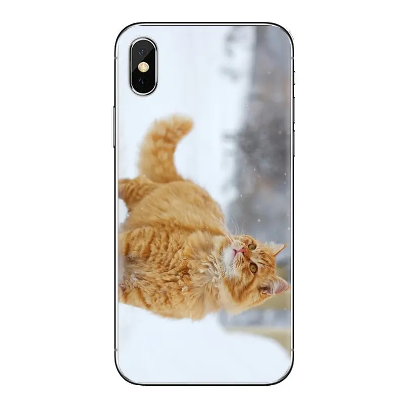 Winter Kitten For Xiaomi Redmi 4 3 3S Pro Mi3 Mi4 Mi4i Mi4C Mi5 Mi5S Mi Max Note 2 Transparent Soft Shell Covers |