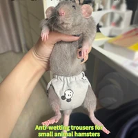 small animals hamster clothes pet diaper proof pants diapers chipmunks guinea pigs squirrels chinchillas chinchillas supplies