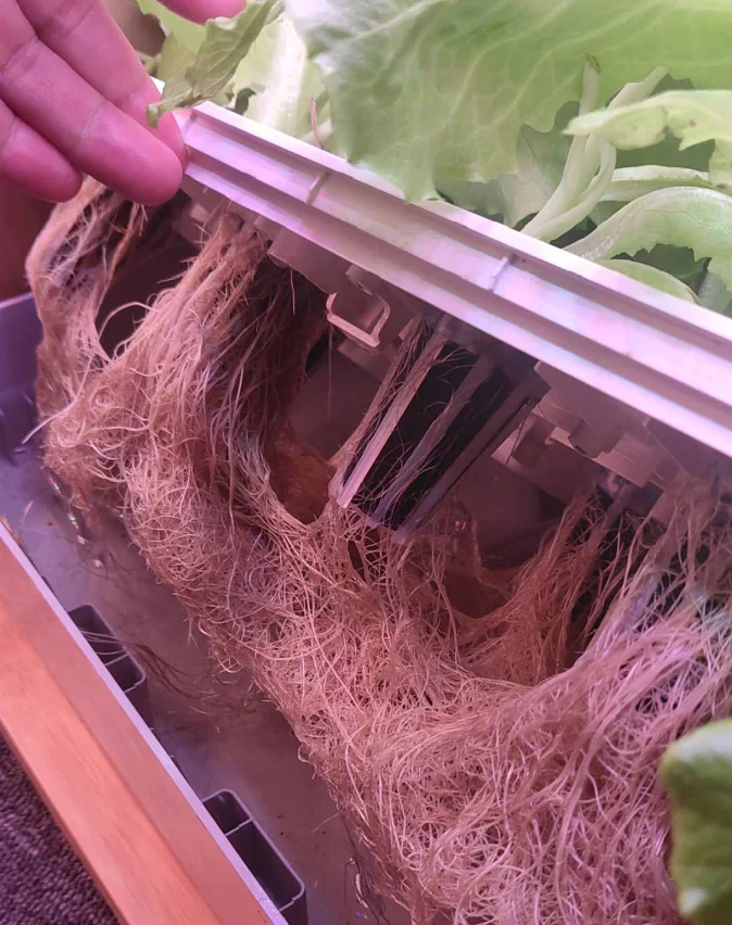 Ecoo Grower губка кубов растительная пищевая пластиковая корзина Экологичная