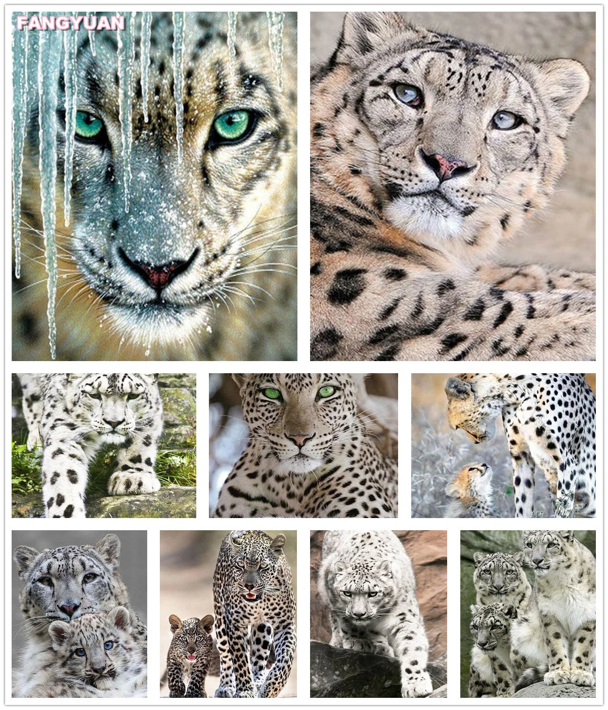 

Full Drill 5D Diamond Embroidery Cheetah Animals Diamond Painting Cross Stitch Kits Picture Rhinestones Mosaic Art Home Decor