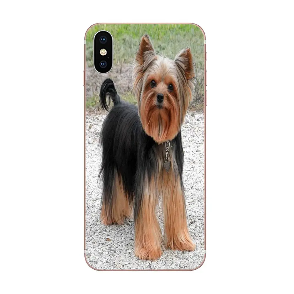 Чехол из ТПУ для Samsung Galaxy A01 A51 A71 S20 Ultra S11 S11E S10 Plus | Мобильные телефоны и аксессуары