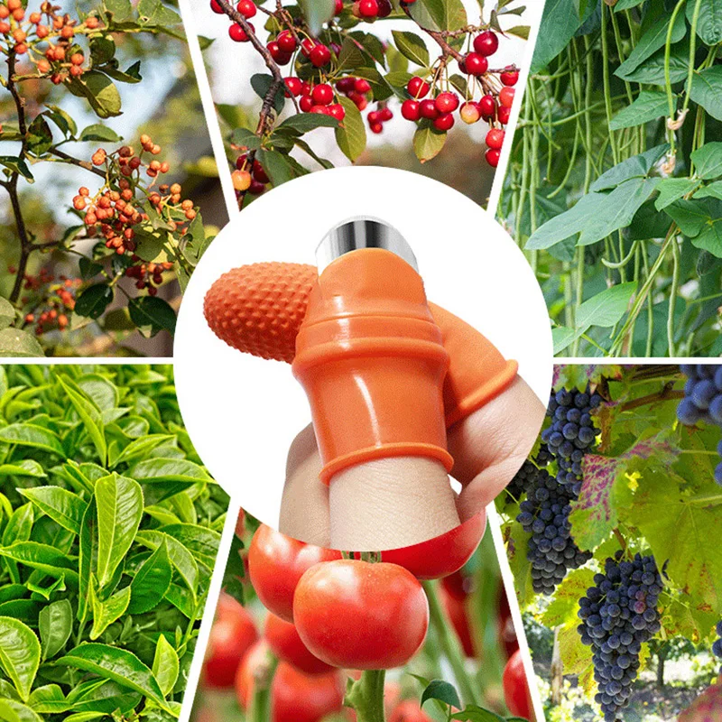 Ферма овощи фрукты Палочки er le перец наконечник железный гвоздь винограда для