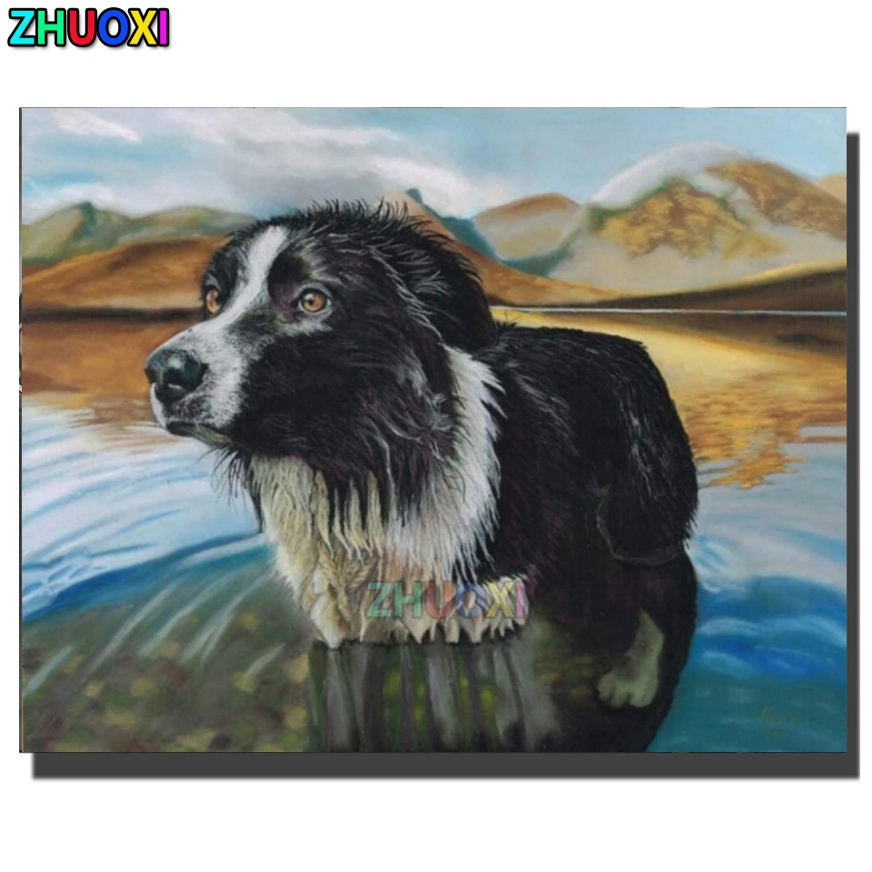 

Diamond Painting Animal Border Collie 5d Diy Diamond Embroidery Full Square/Round Drill Diamond Mosaic Animal Handicraft Decor