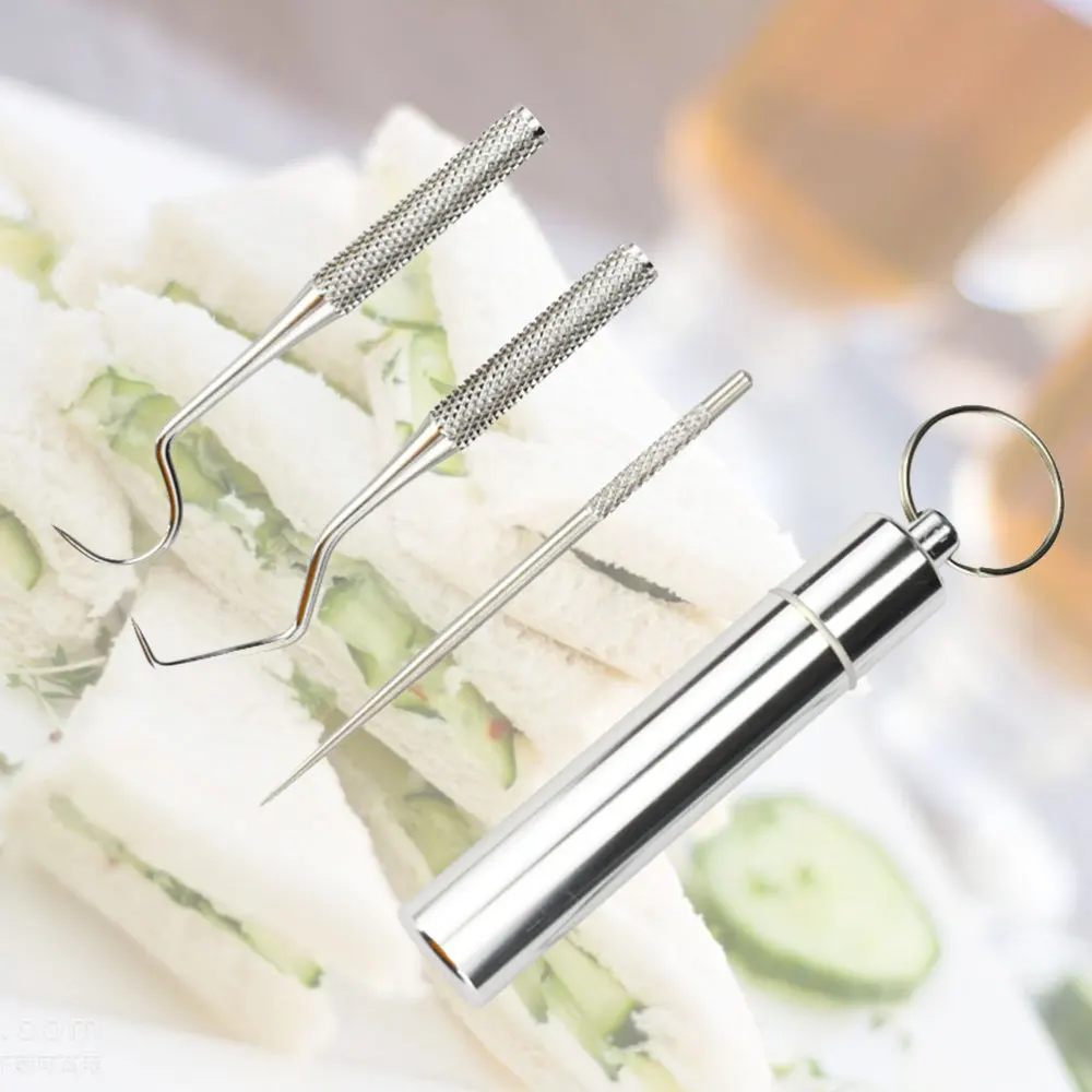 

1 Set Mini Toothpicks Portable Teeth Clean Tool Stainless Steel Toothpick