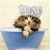 Изображение товара 1