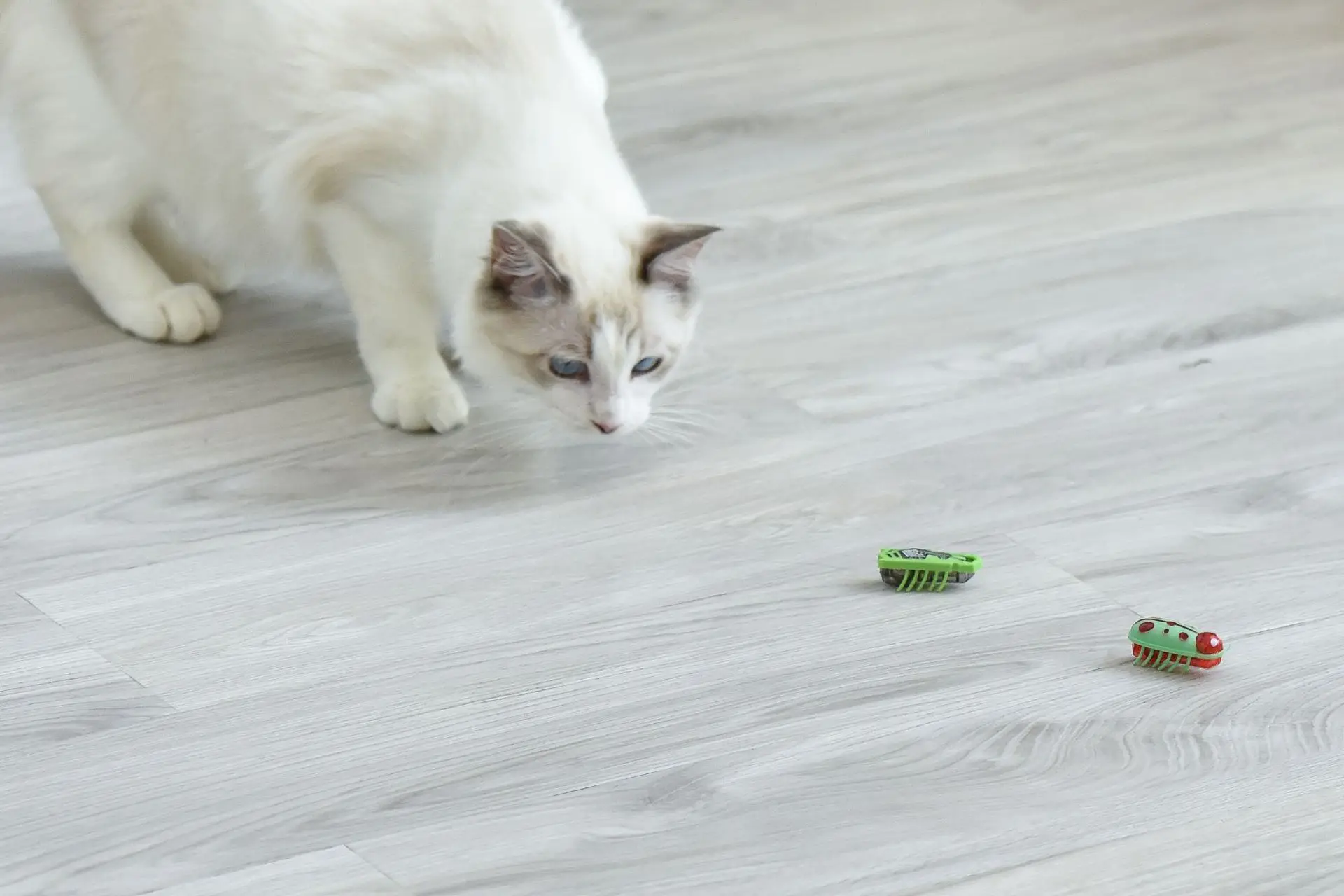 Забавная кошка препятствия автоматическая мышь божья коровка электрическая