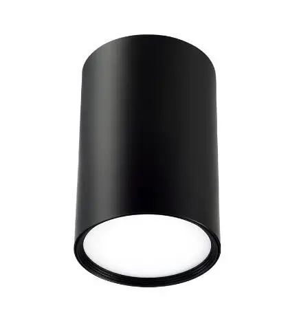 

BRIDAY Потолочный светильник LED теплый белый/натуральный белый/холодный белый 5-24 Вт