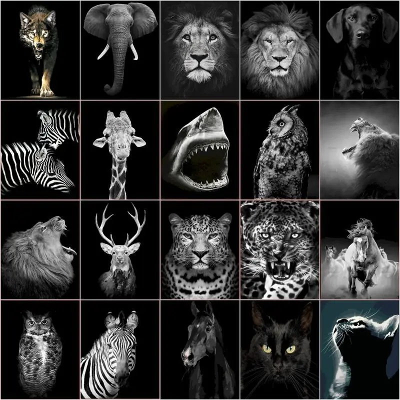 

CHENISTORY DIY Painting By Number Lion Cat Kits Home Decor Zebra Black And White Animal Drawing On Canvas Handpainted Art Gift